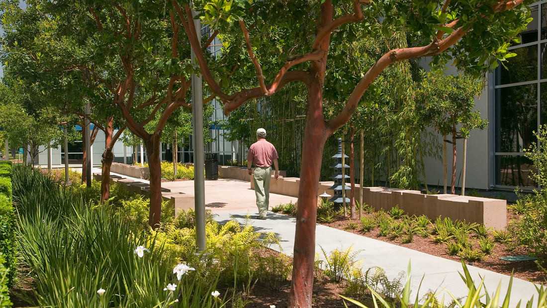 帕洛阿尔托医疗中心丨美国加利福尼亚丨SWA-3