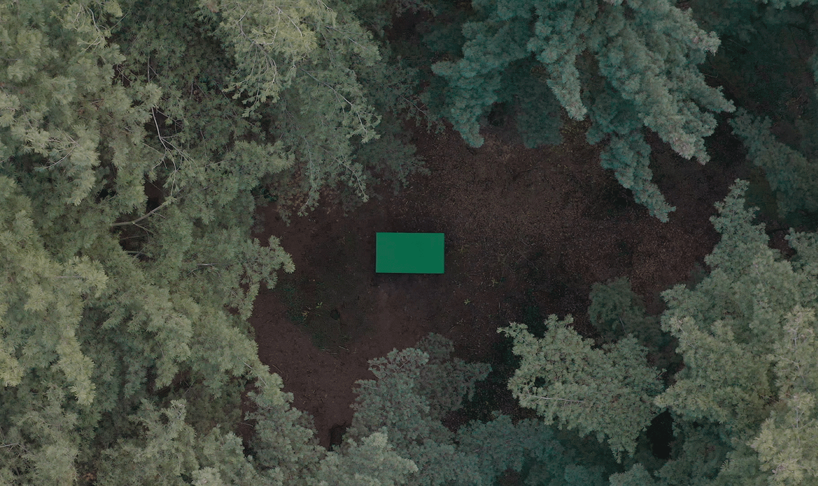 2021 年 Wallpaper*设计大奖得主 Formafantasma | 以设计塑造更美好世界-1