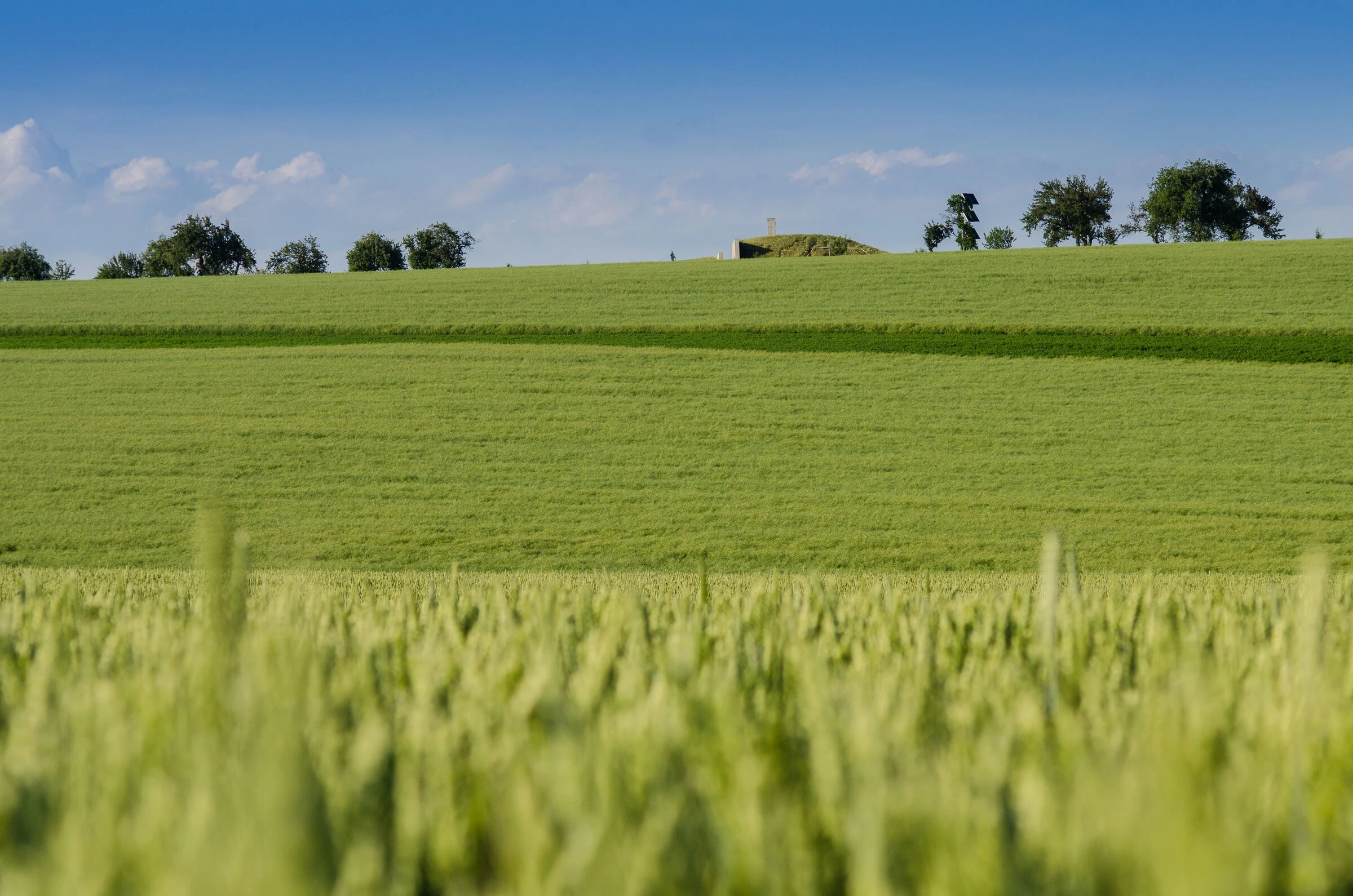 水塔与观景台丨捷克丨Zette Ateliér-21