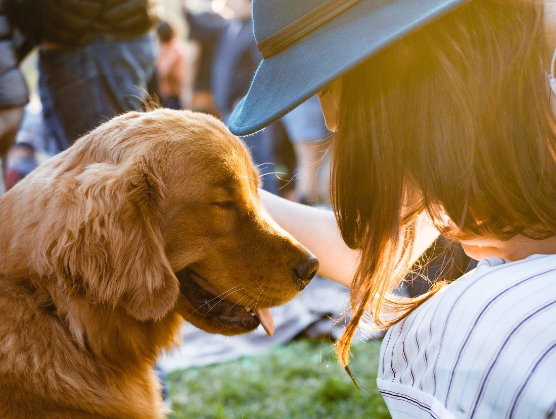 【宠物店】铲屎官们，请注意！萌宠的反转人…-12