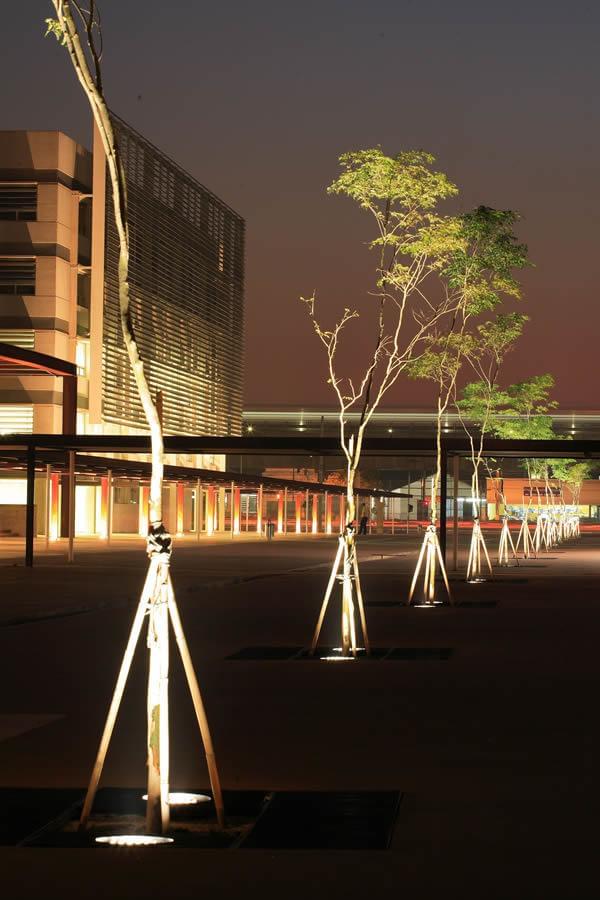 青年公园·卡兰迪鲁-16