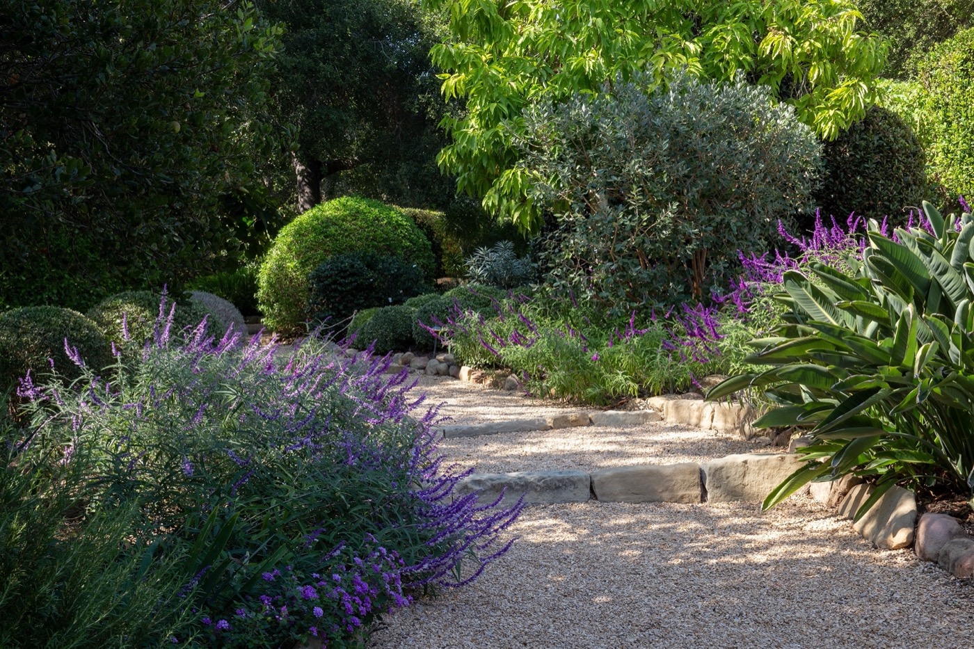 加州 Montecito 的 Mariposa Gardens丨RIOS-12