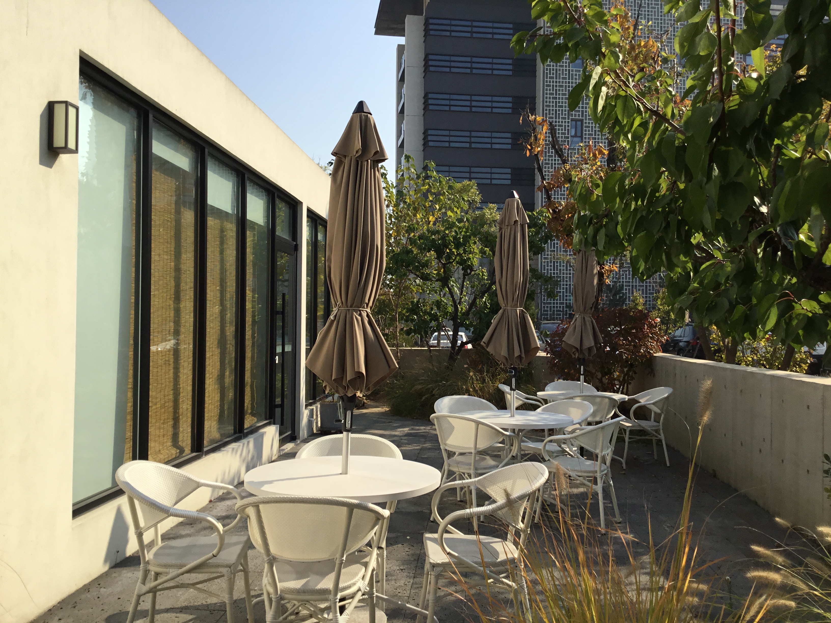 阿那亚的景色-16