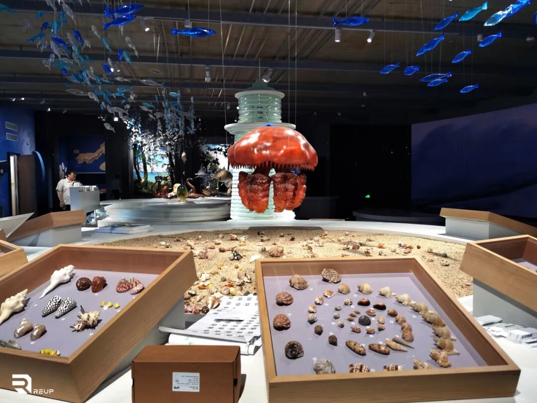 瑞普照明I玉环博物馆-17