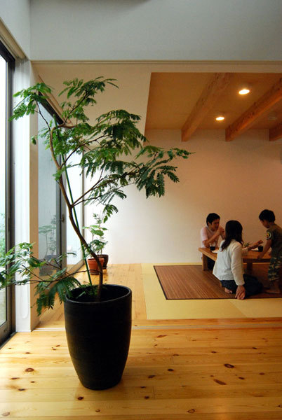 丨日本宫崎丨有限会社COGITE-20