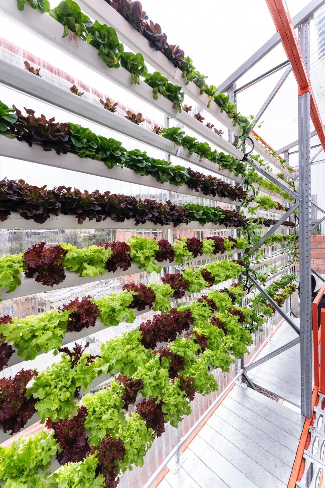 低技水培模块化建筑丨哥伦比亚-27