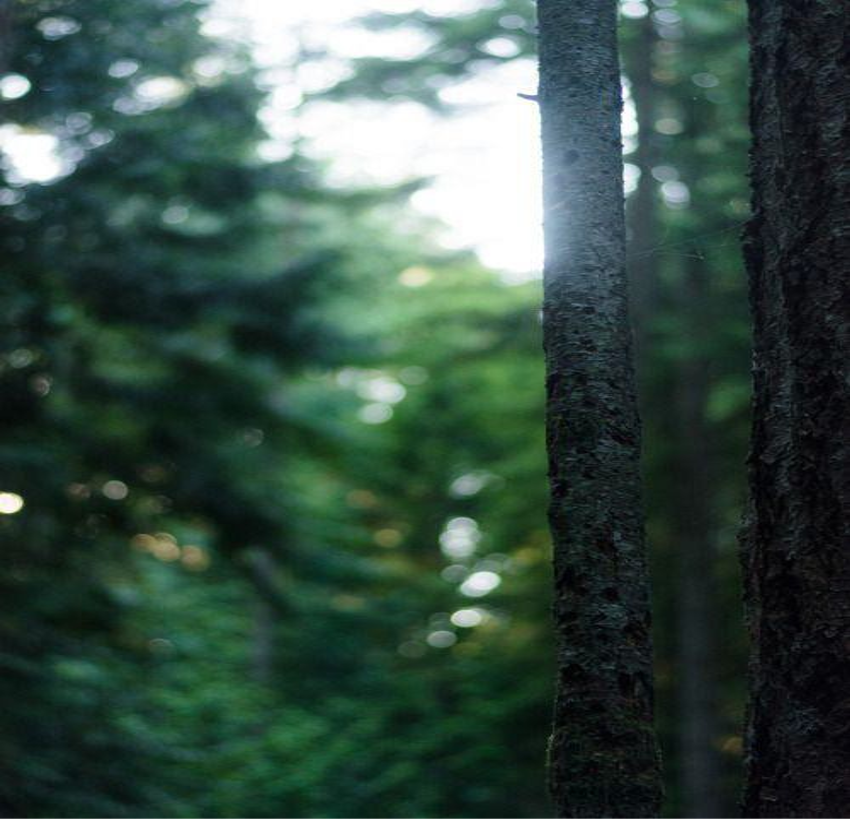 栖上民宿丨中国四川丨ABD琥珀设计-14