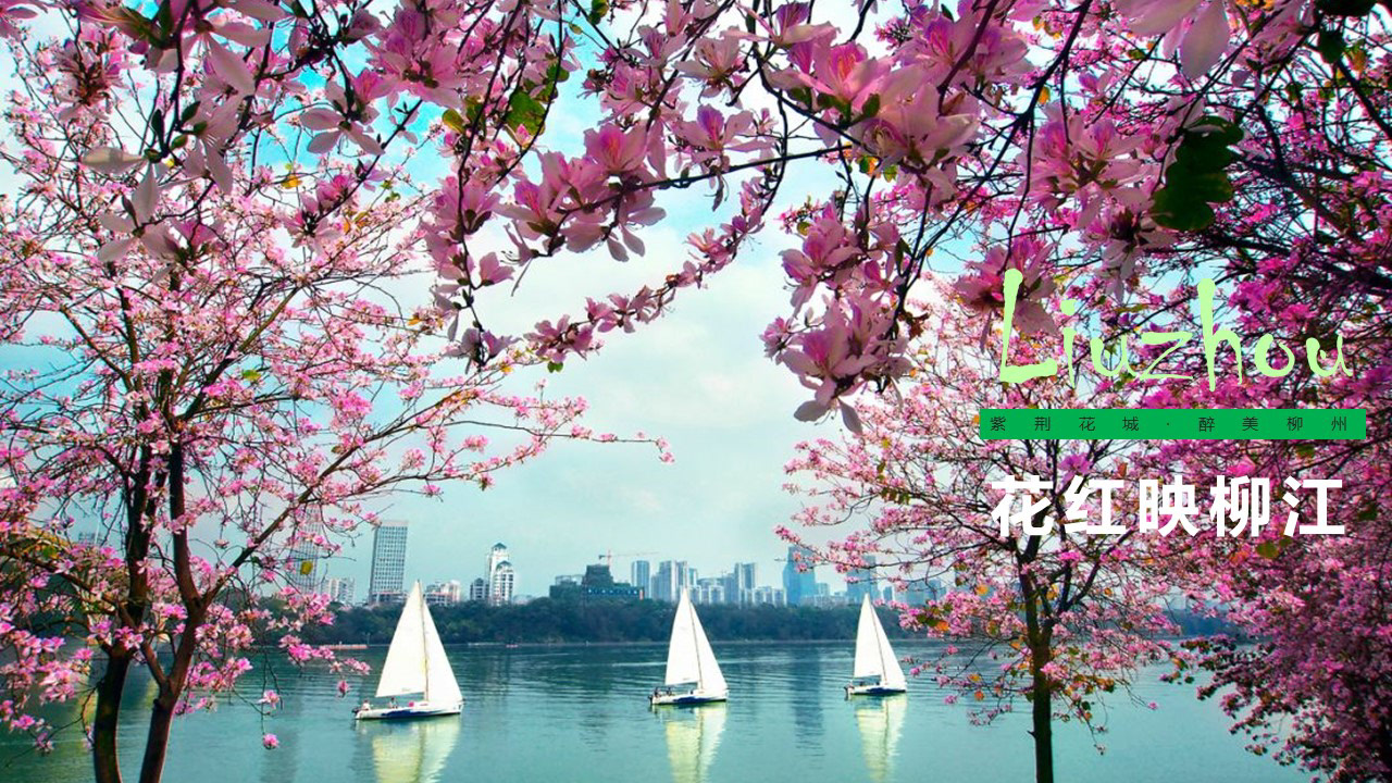 旅游集散中心-品牌/展示2020-8