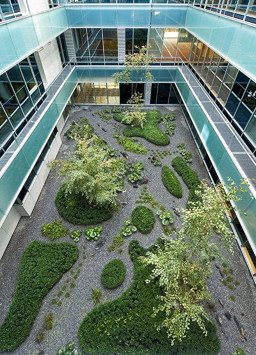 Madrid 办公大楼庭院花园 · 有机自然主义的设计实践-22