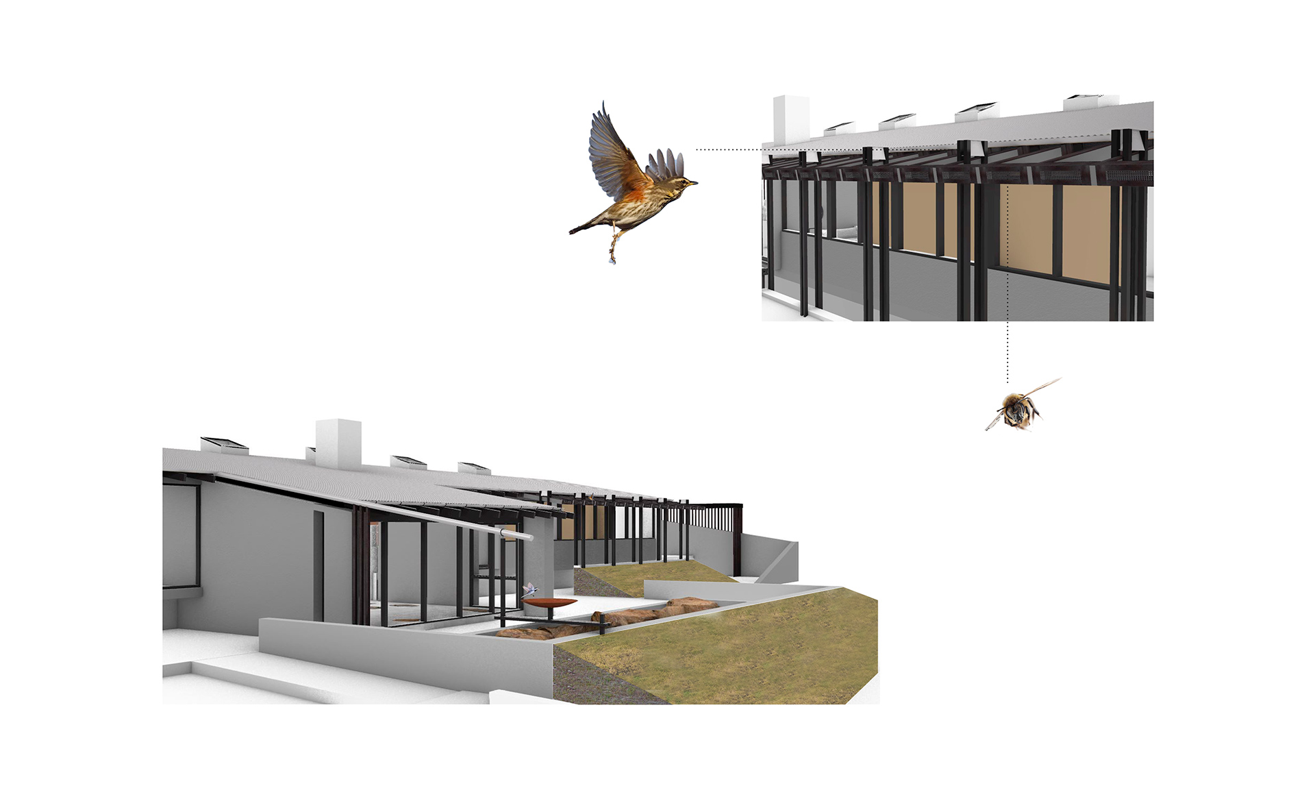 Curvilinear Serenity, casa en Islandia - ARQA-8