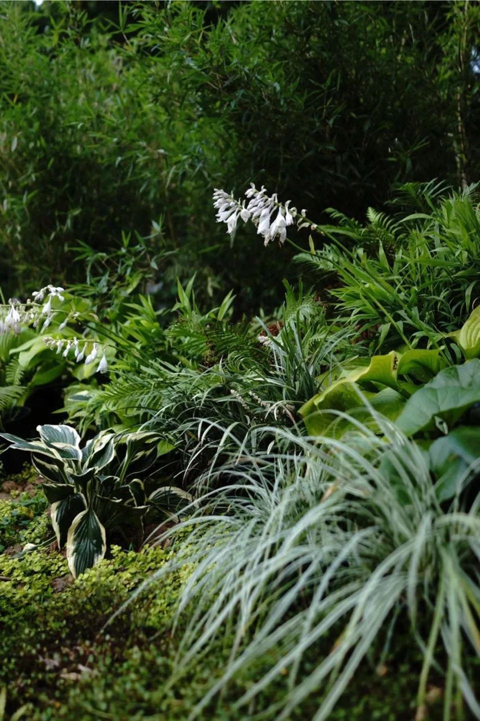 野界度假酒店丨中国湖州丨墨璞建筑设计(上海)有限公司-30