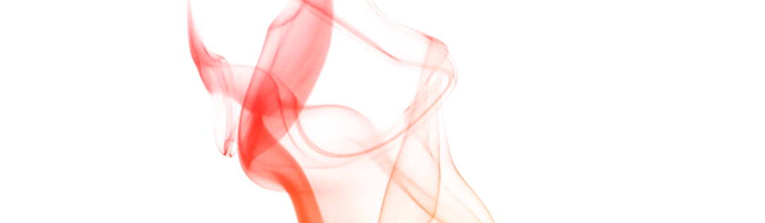 开门纳客丨东进新启航·木棉正当红-64