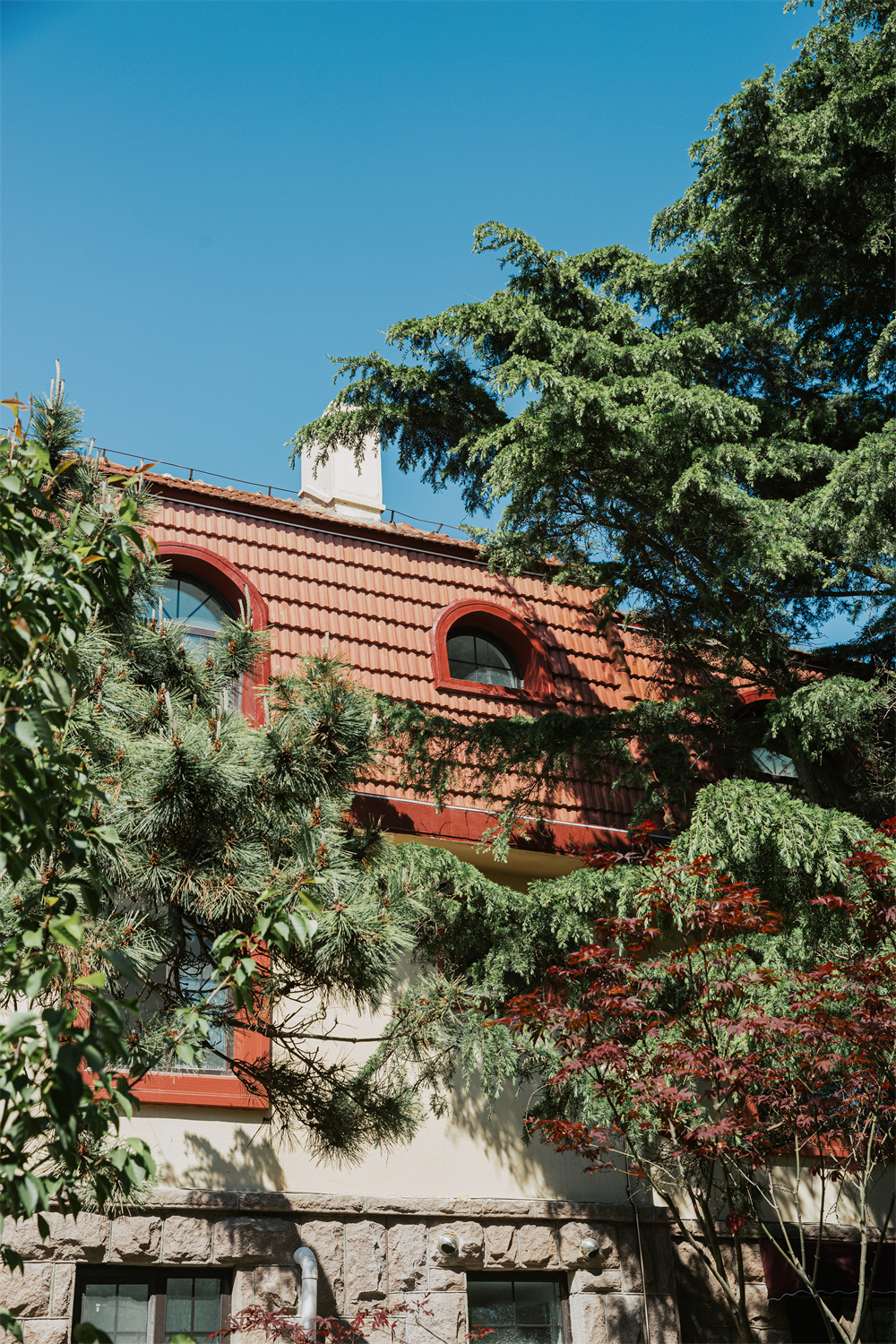 CUP 西餐厅丨中国青岛丨W·SELECT-4