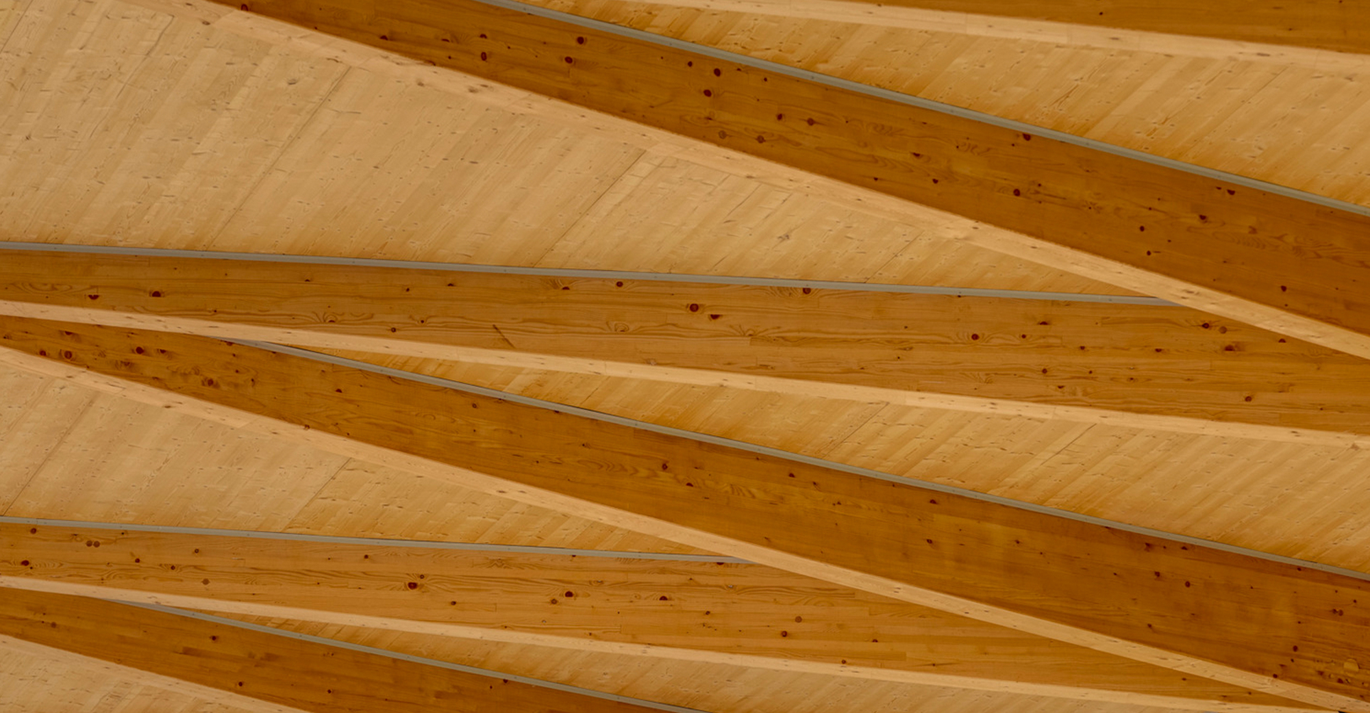 埃里克·特威代尔体育场丨澳大利亚丨dwp-41