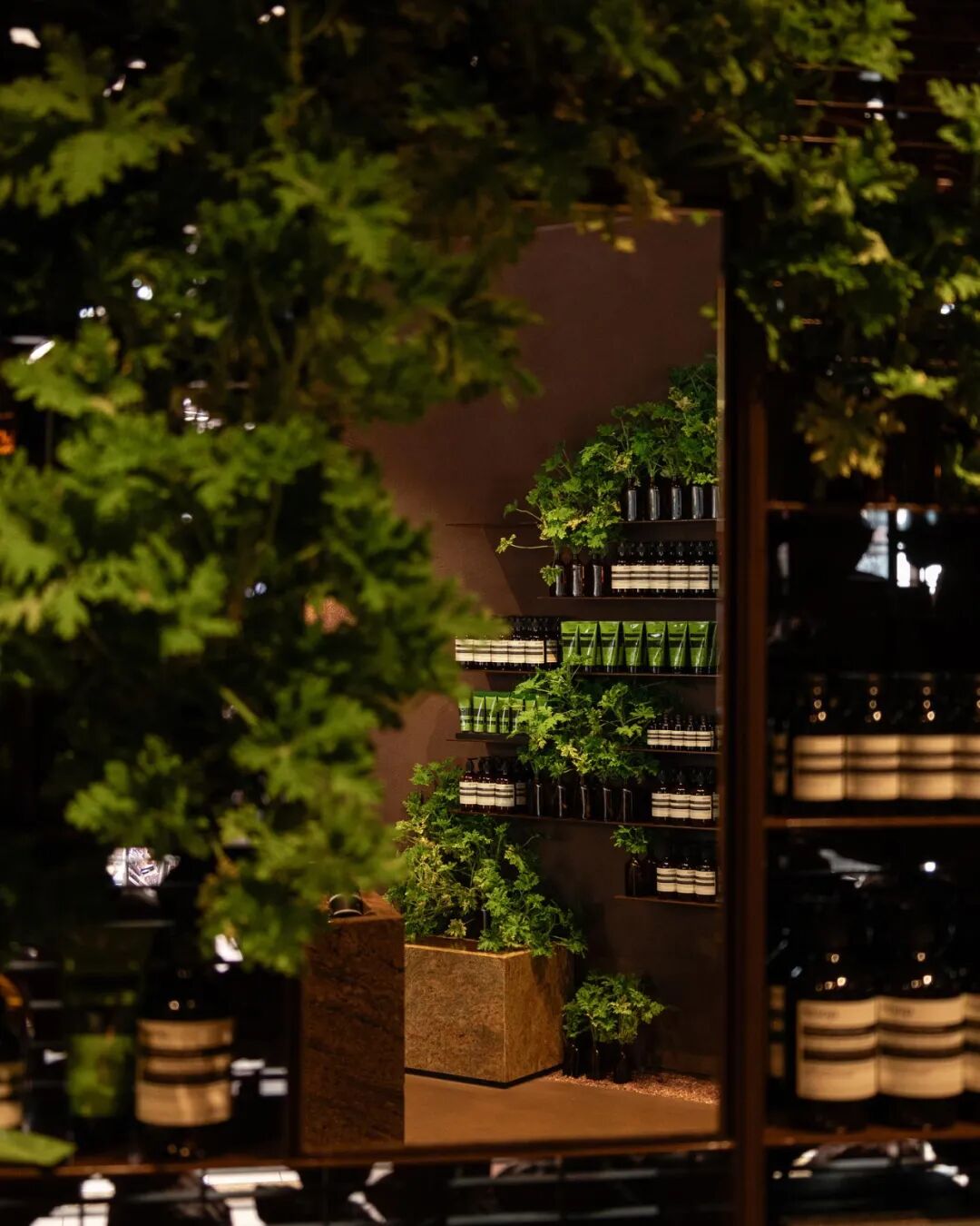 Aesop新加坡高岛屋“石笼”概念店设计-13