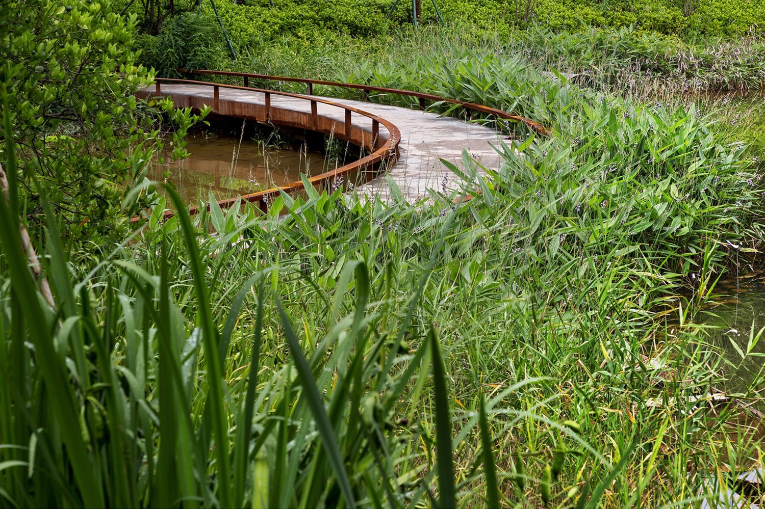  CLD会筑景观丨义乌绿城桃花源景观设计 丨中国浙江-3