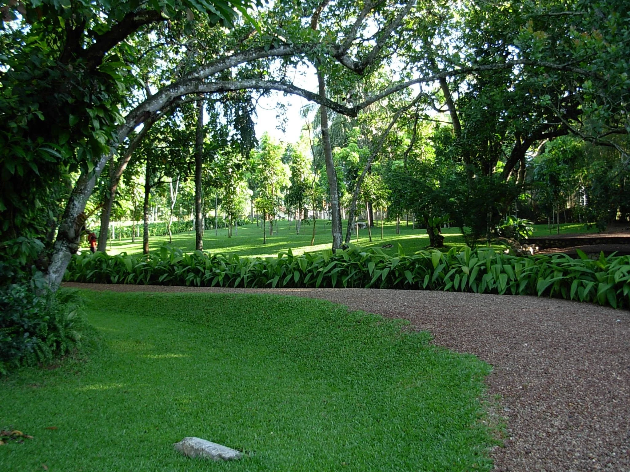 斯里兰卡“荆棘”庄园-27