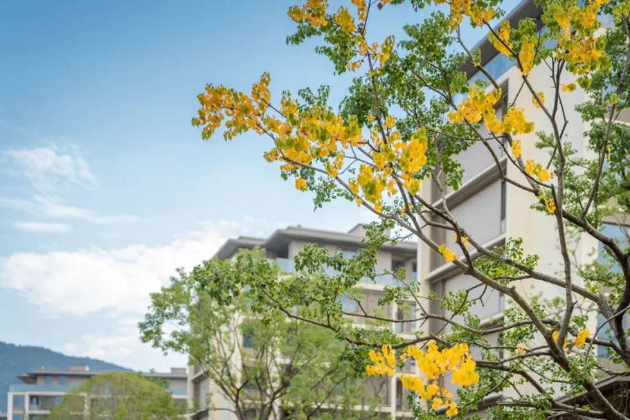 湖光山色间的智能颐养家园·宜兴雅达·松下社区丨浙江蓝颂园林景观设计集团有限公司-35