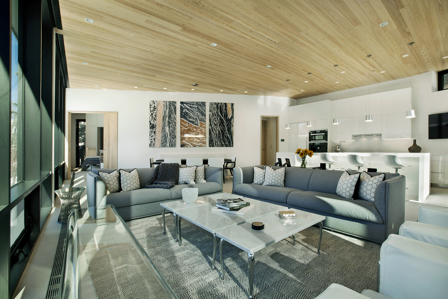 美国阿斯彭的锌之家-44