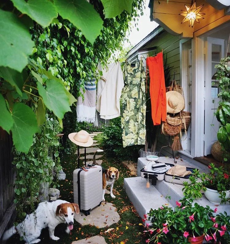 老舍笔下的理想家庭-19