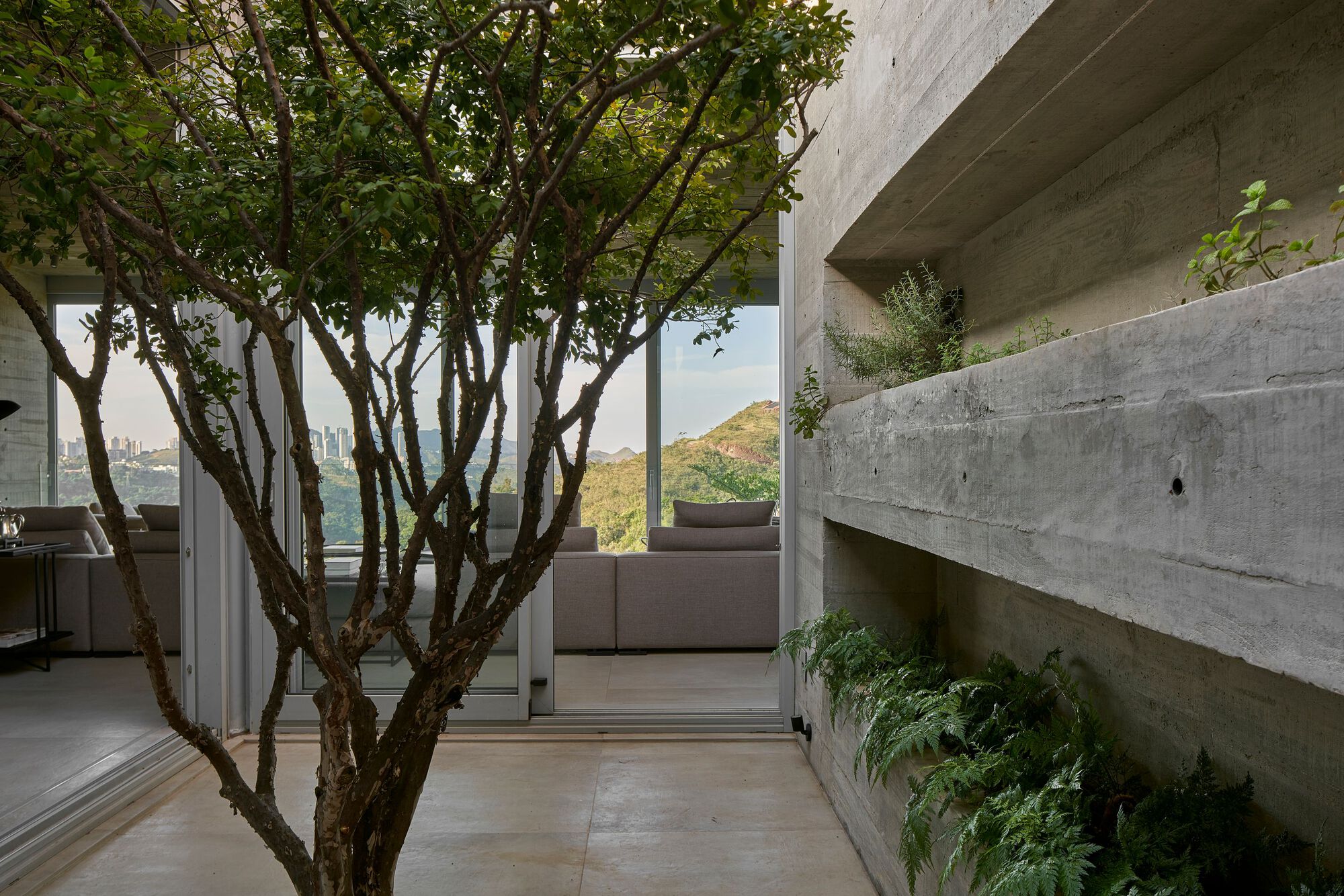 混凝土房屋丨巴西丨Ângela Roldão Arquitetura-53