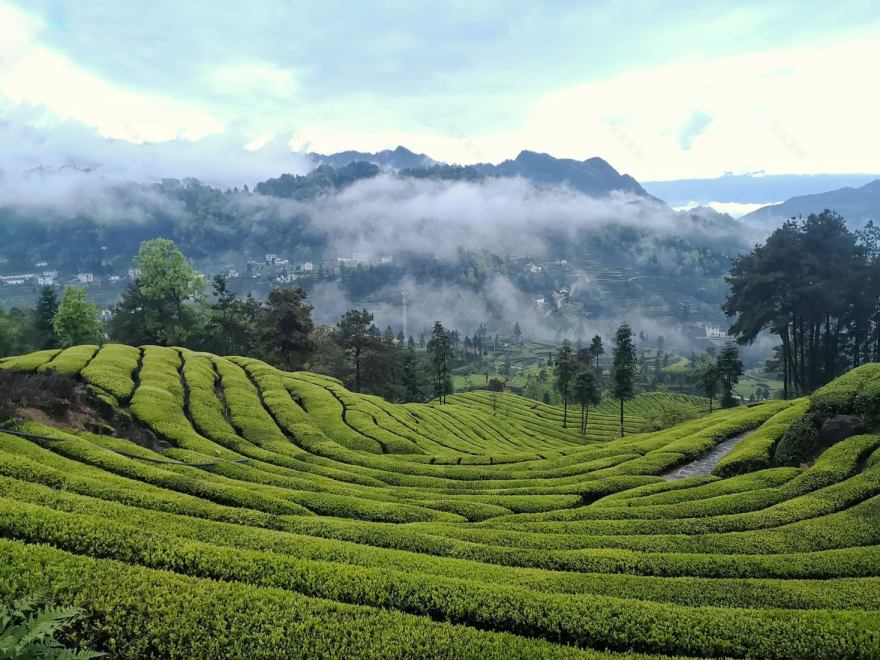 丨中国宜昌丨ARCHSTUDIO-70