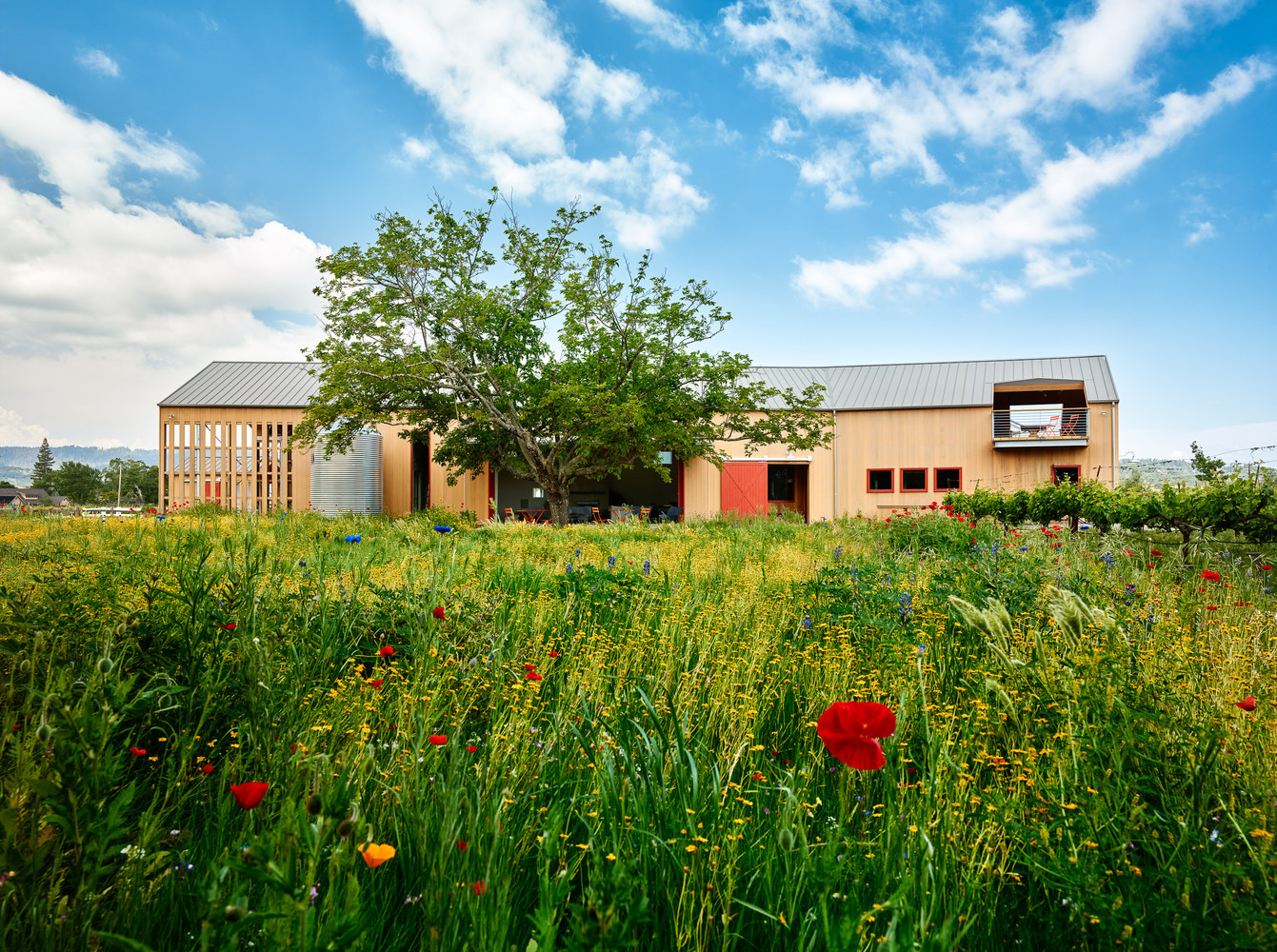 加州纳帕谷仓的多功能设计-53