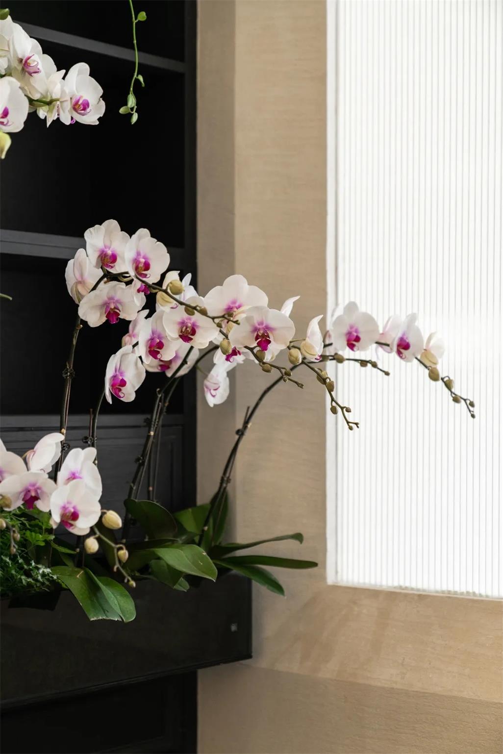 起初 籣丨中国昆明丨寸匠  FF建筑设计有限公司-33