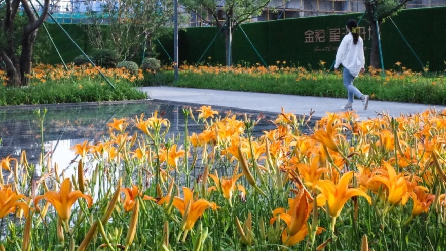 惠州金裕·星河丹堤示范区景观丨中国惠州丨法国埃尔萨景观设计事务所-11