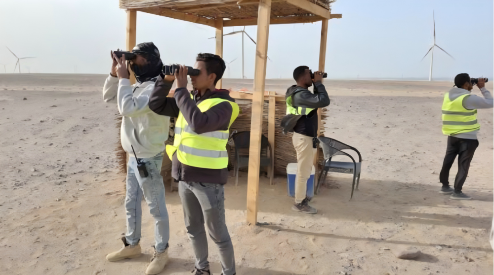 优秀项目部风采|守护红海沙漠生态：埃及风电项目的绿色实践-36
