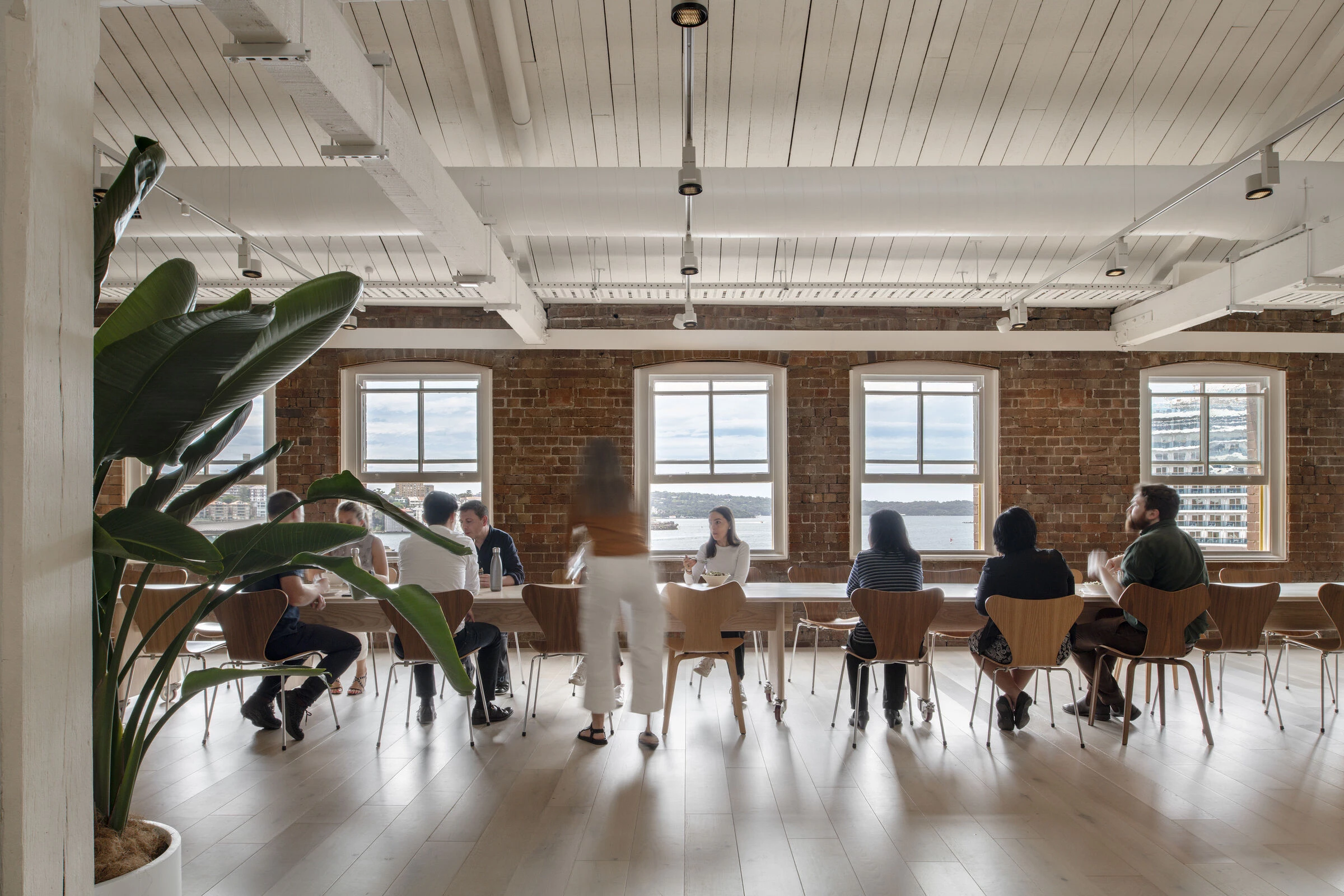 考克斯建筑事务所悉尼工作室丨澳大利亚悉尼丨Cox Architecture-18