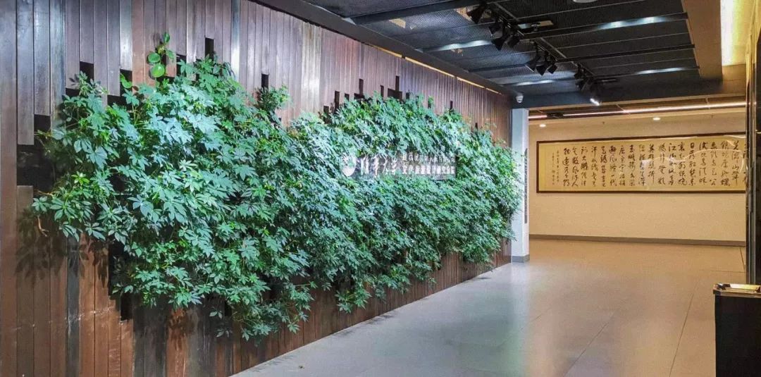 绿意盎然的大屯办公楼 | 清华大学建筑设计研究院总部-106