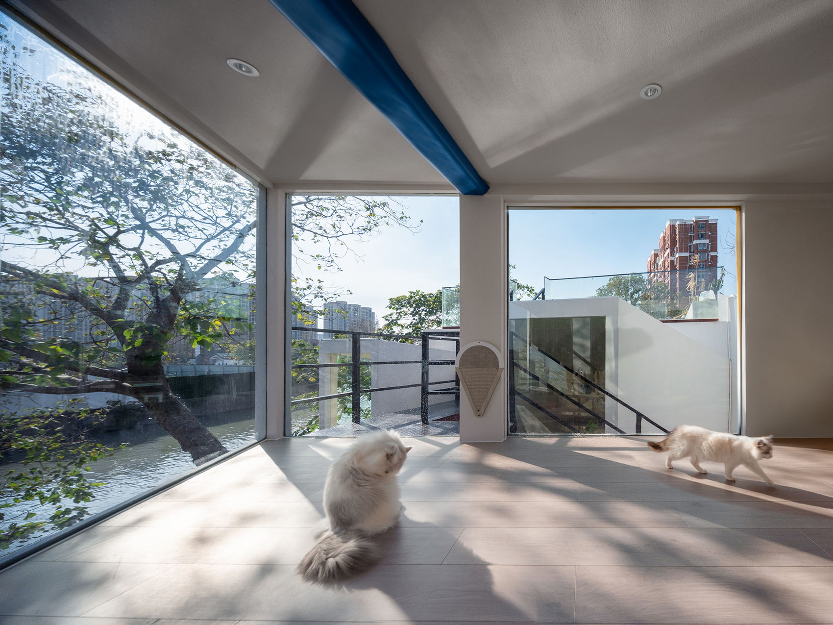 LILITH莉莉斯小屋（猫舍花园）丨中国上海丨DCDSAA淀川建筑事务所-60