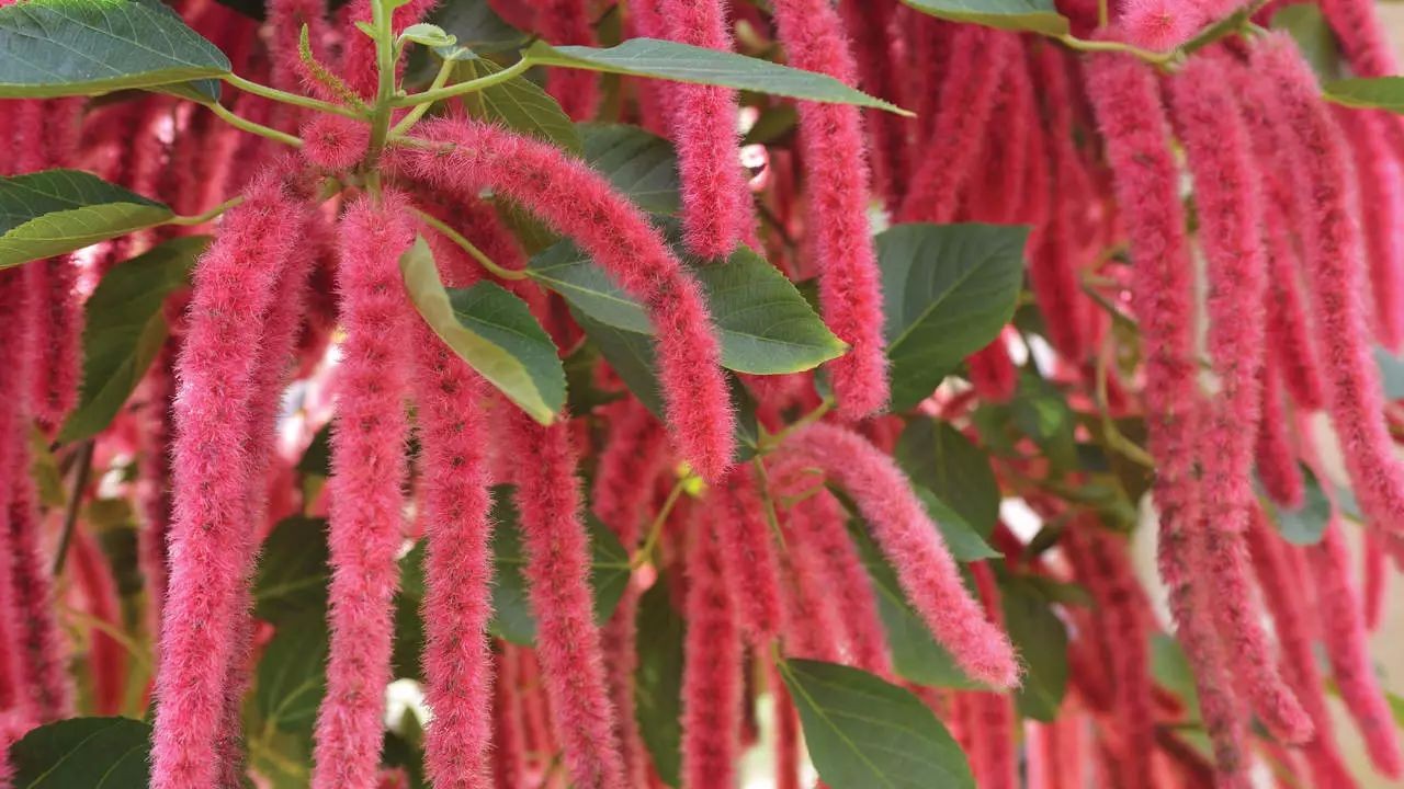 让努维尔设计的海滨公寓，1000平米的顶层复式，售价不到8千万-33