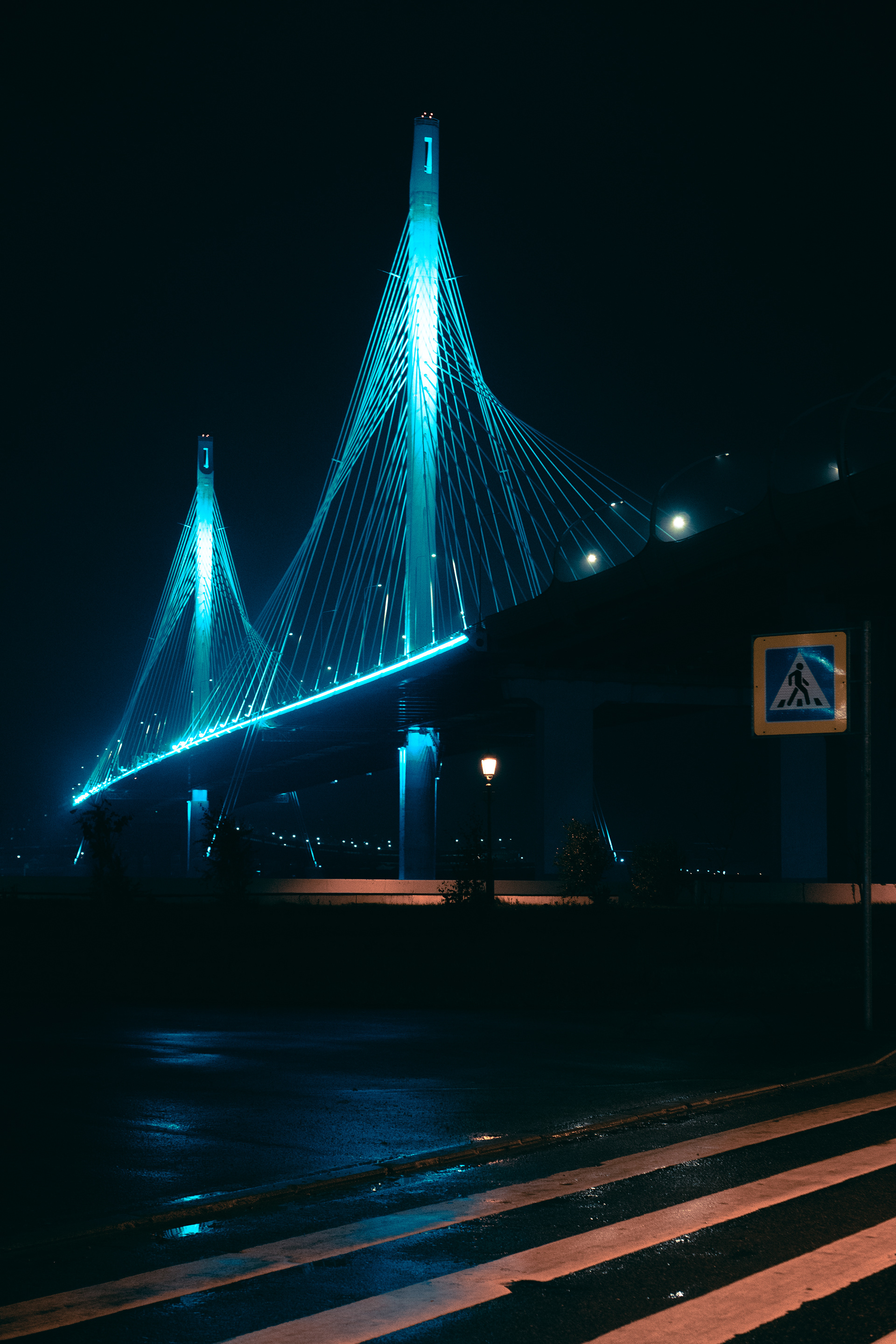 雾夜中的圣彼得堡丨俄罗斯圣彼得堡-9