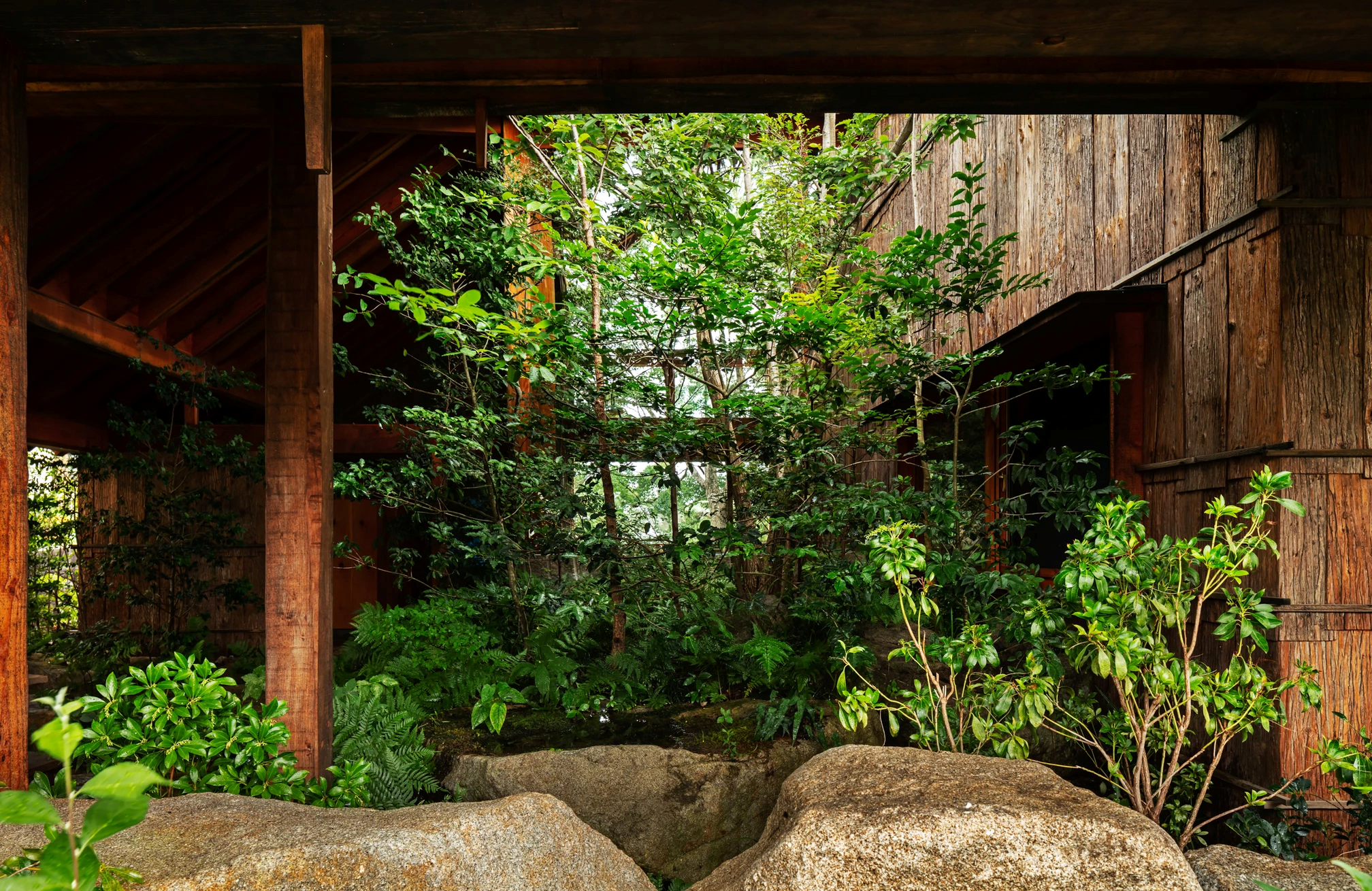 石头缝里的生机 · 大地之家的绿色创新设计-18