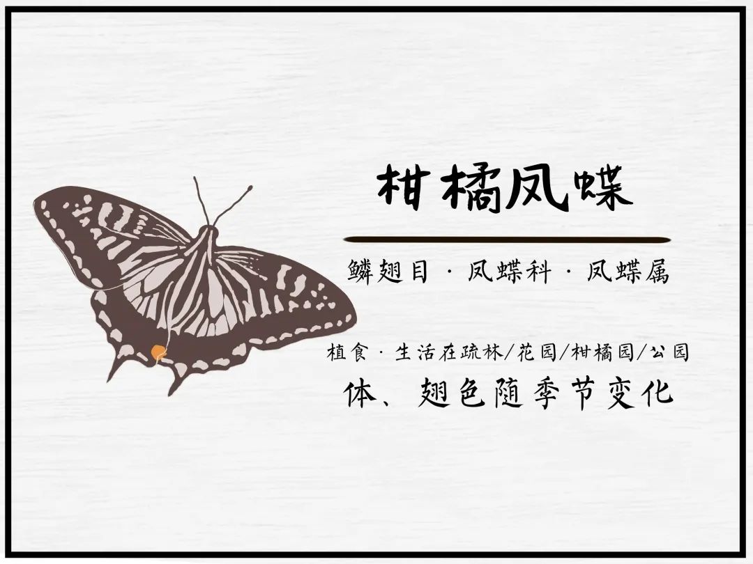 广汽丰田生态园·工业绿色风景线丨普邦设计-85