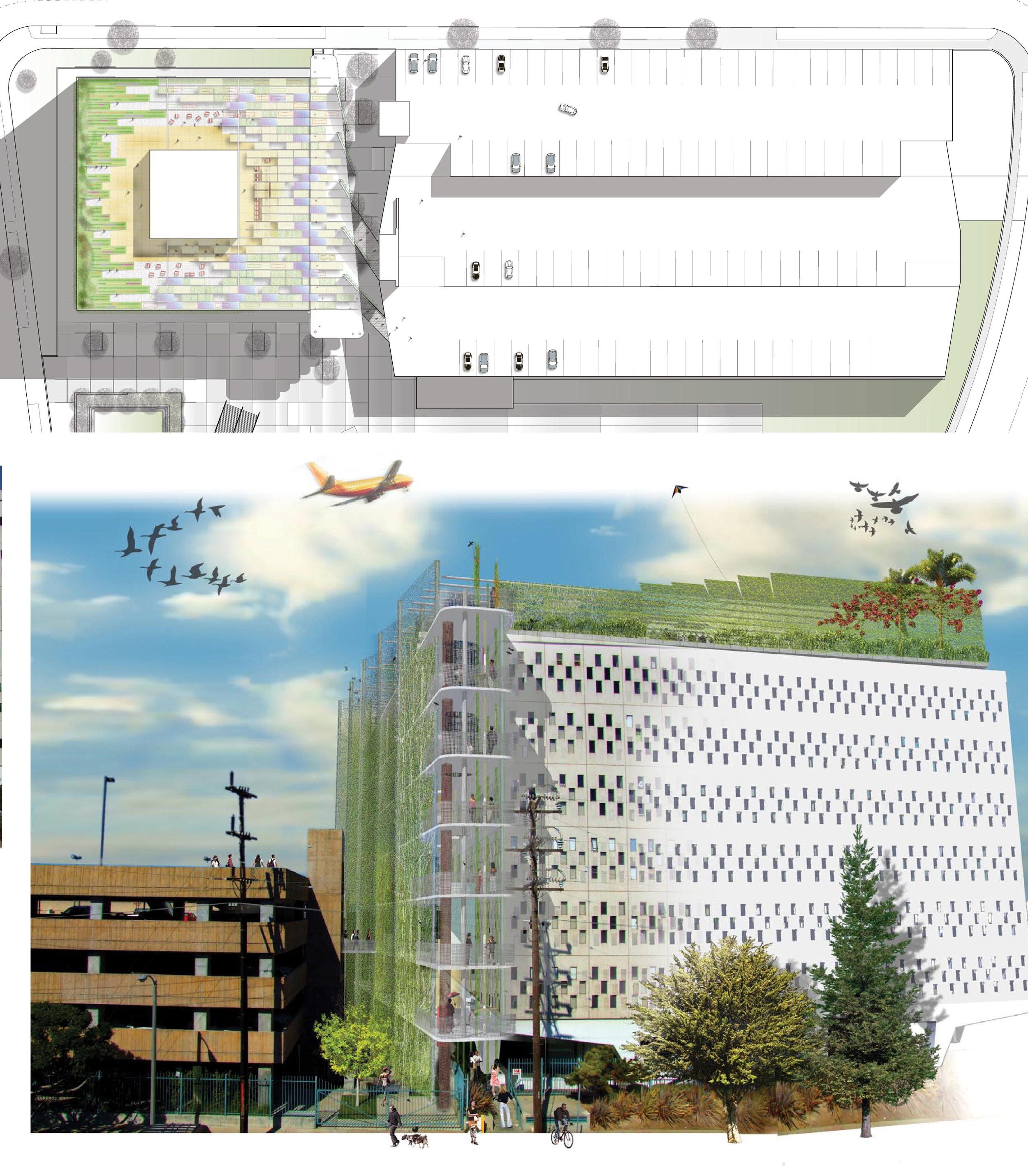 丨美国洛杉矶-13