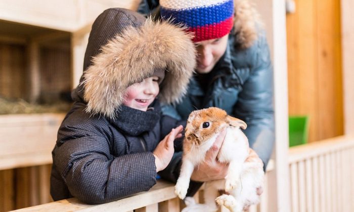 莫斯科“城市农场”丨俄罗斯莫斯科丨俄罗斯建筑事务所Wowhaus-19