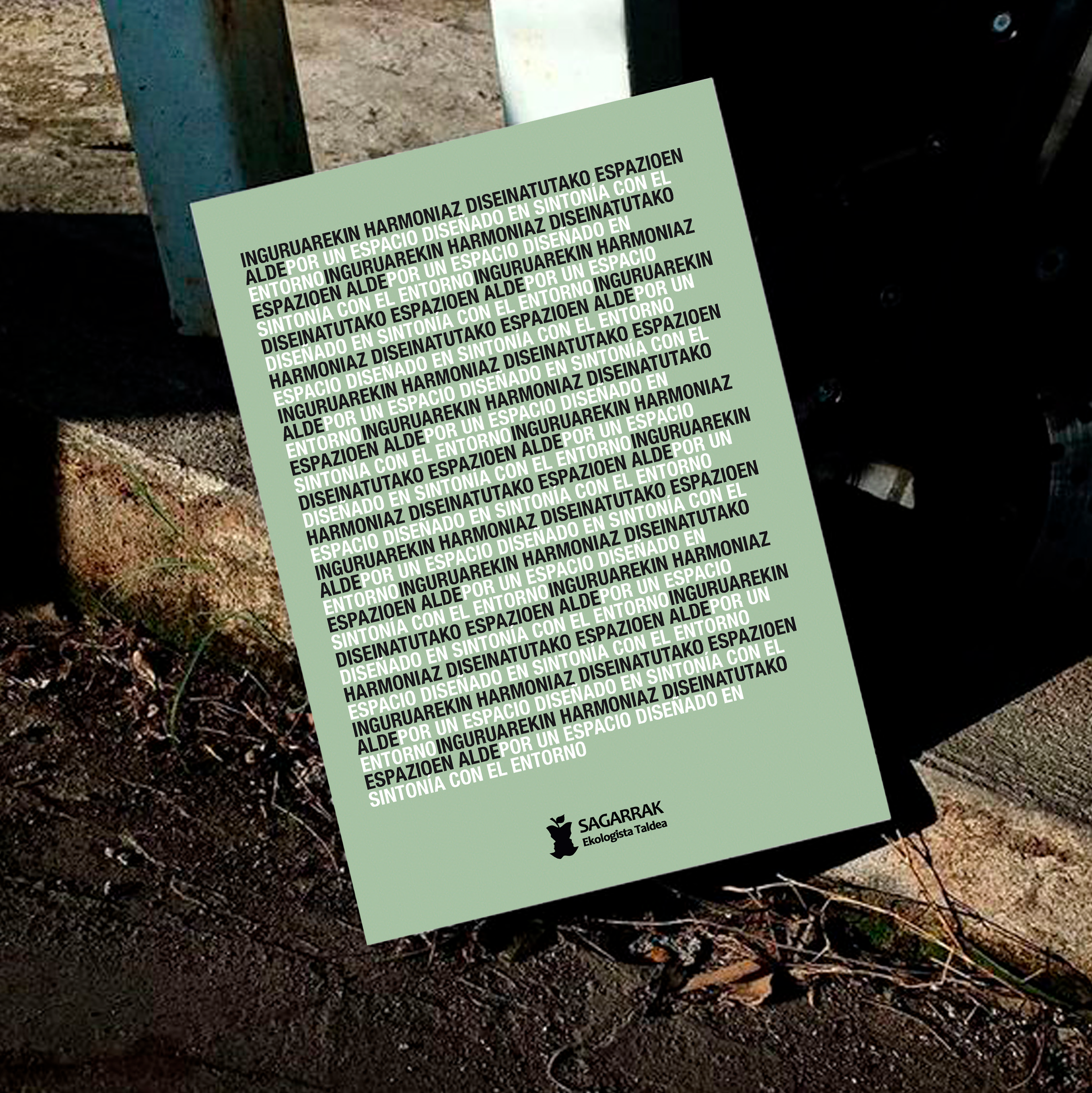 BOSQUE AUTÓCTONO 实地指南-22