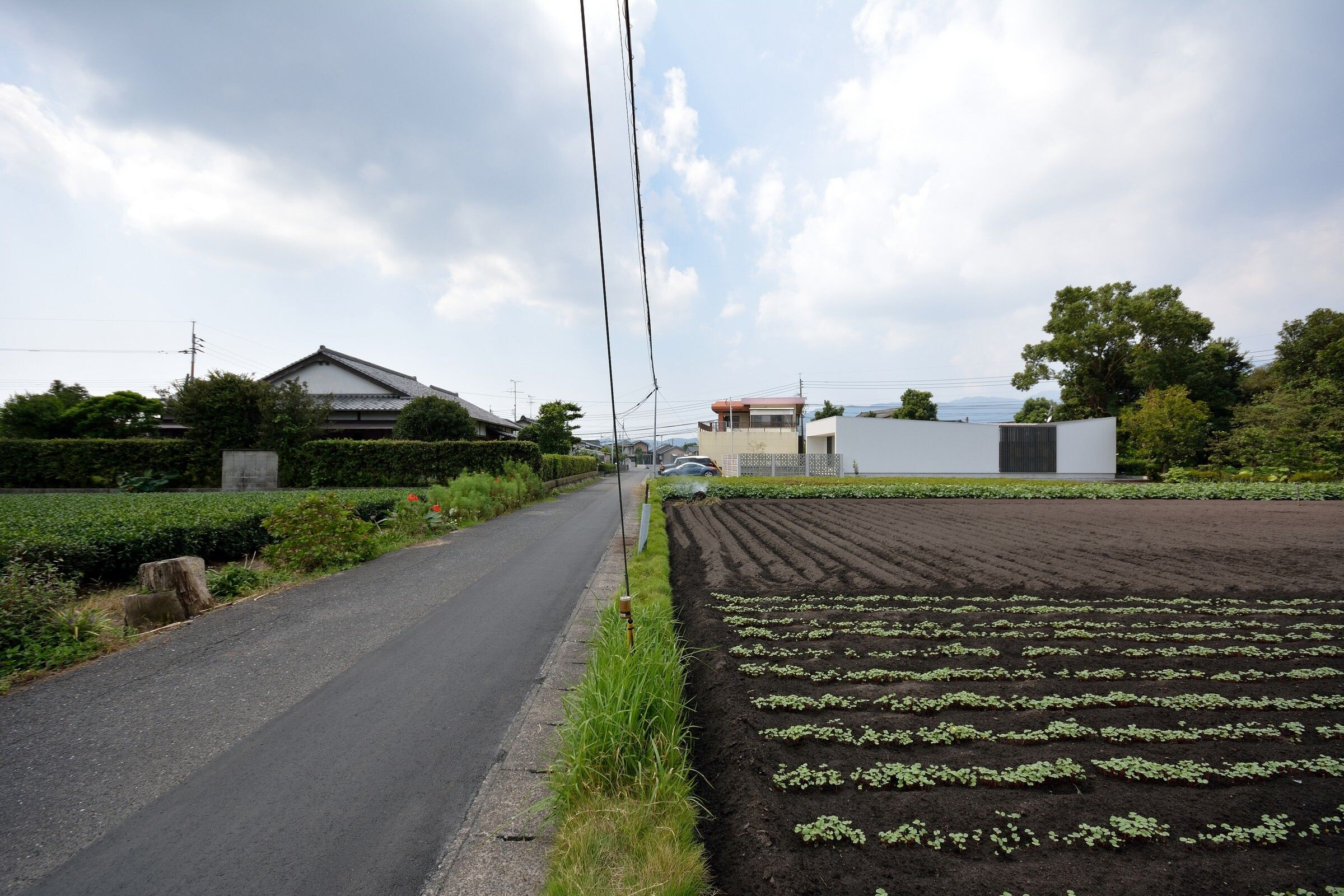 日本长型场地上的简约木质住宅-17