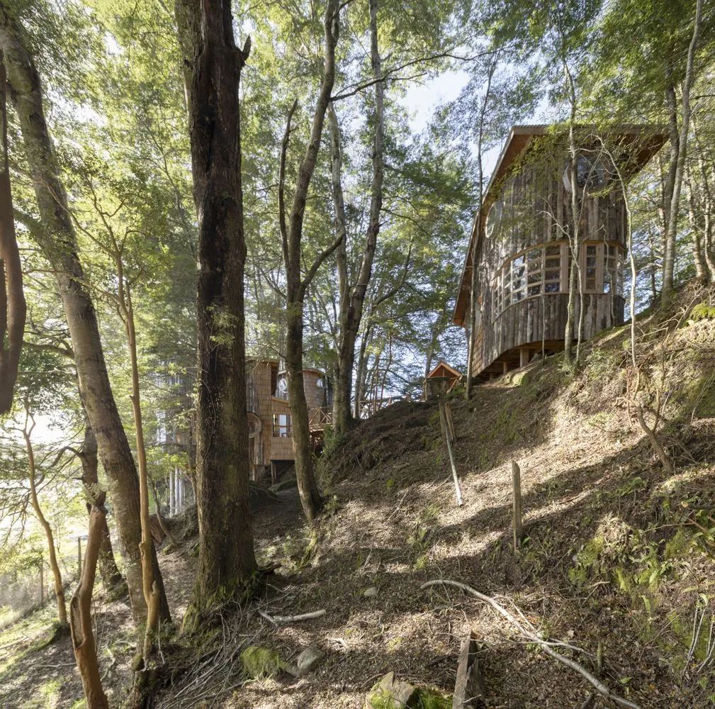 木屋世界 | 奇洛岛奎伦公社自然奢华露营-35