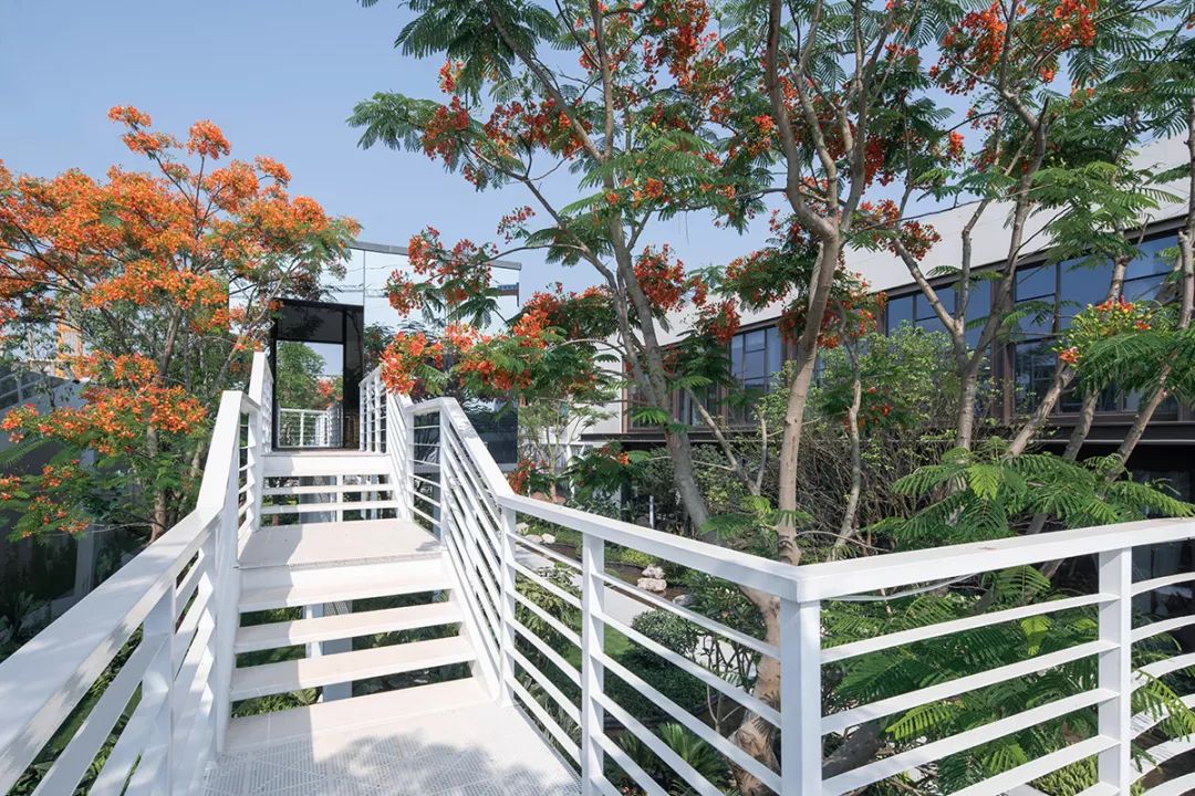 中南南宁紫云集-6