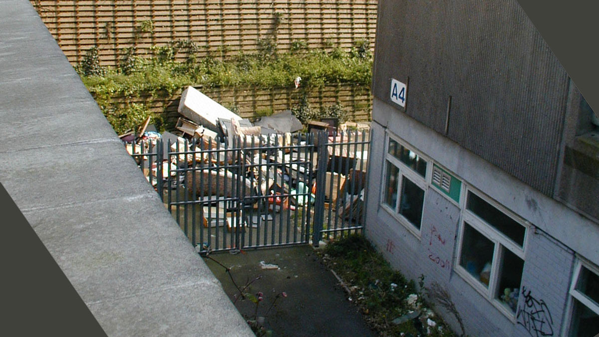 丨Levitt Bernstein-37