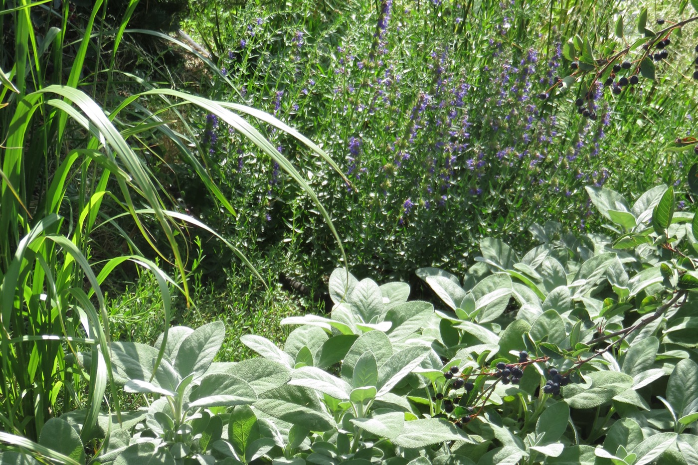 慕尼黑 Macherei 区多功能绿色空间创新设计丨德国慕尼黑-15