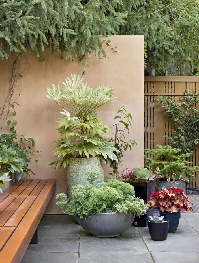 狭长院子变身艺术空间的设计秘密-41