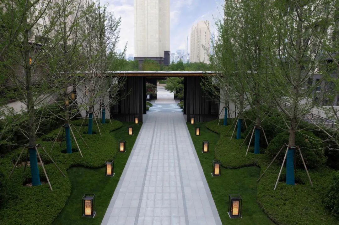 园路列植设计丨上景总工办-21