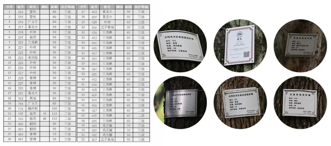 ASLA获奖作品 连接过去和未来的城市绿洲——嘉兴火车站景丨中国嘉兴丨致舍景观-26