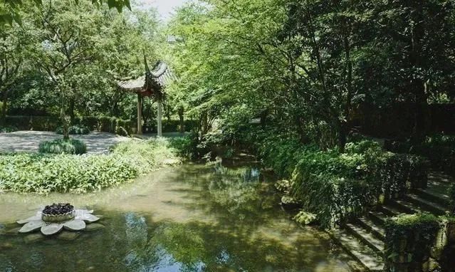 50岁的大叔,将破宅改造成别墅,里面的院子,都是诗意。-14