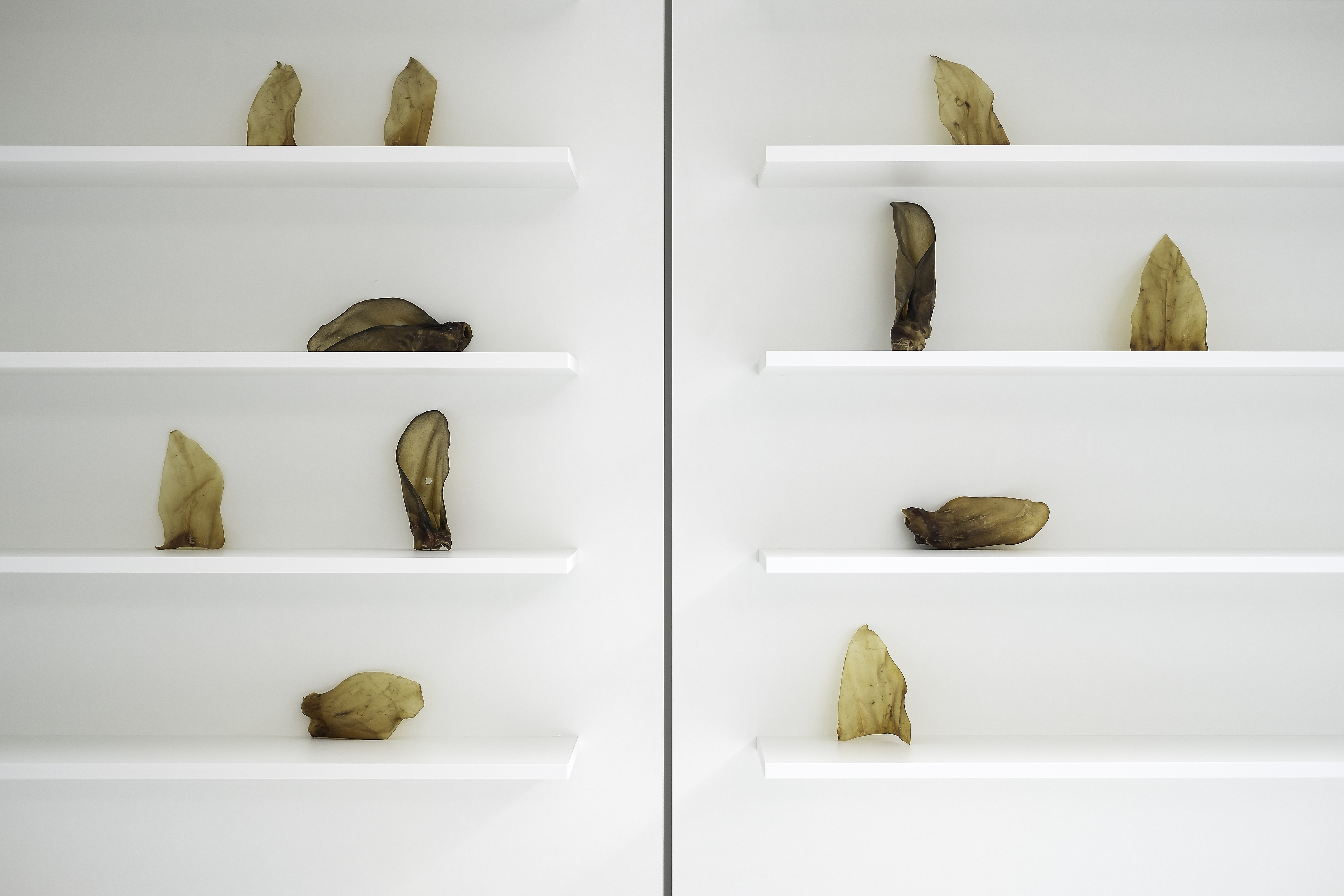 狗广场画廊丨斯洛伐克布拉迪斯拉发丨atelier 27.9-18